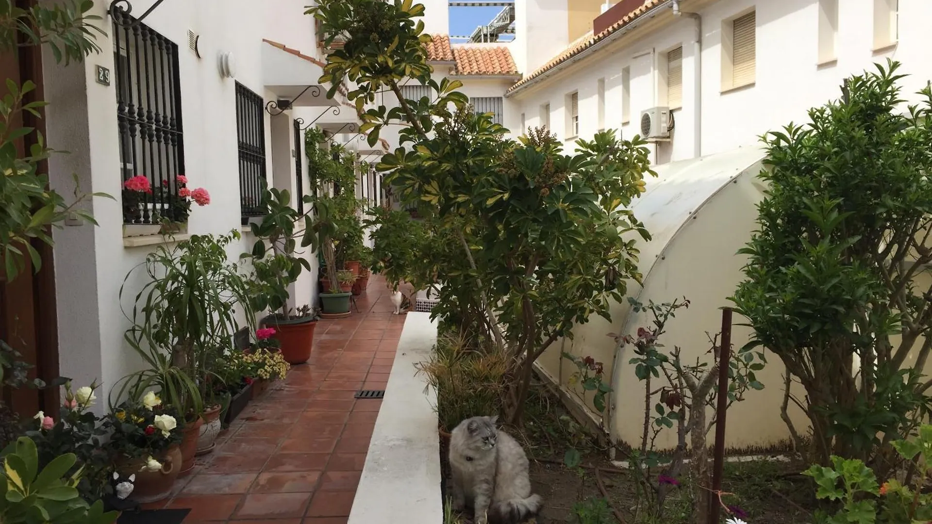 Holiday home El Cortijuelo: Seaside Triplex with Rooftop Terrace Torremolinos Spain